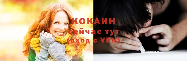 соль ск Тында