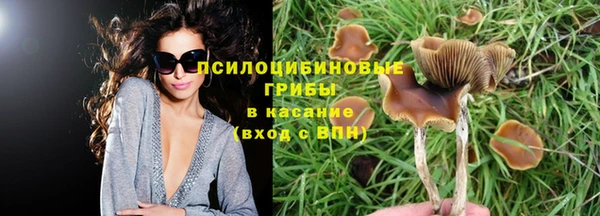 меф Гусев