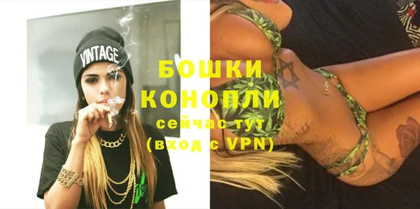 гидропоника Новодвинск